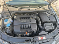 Audi A3 8P 1.6 MPI Benzyna+Gaz Szczytno - zdjęcie 3