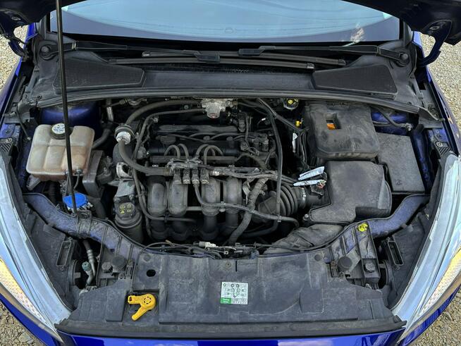 Focus 1.6 benzyna + LPG 105km CZUJNIKI klima SERWIS bezwypadek 2018 Tychy - zdjęcie 9