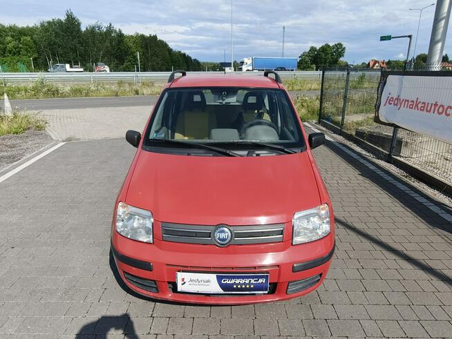 Fiat Panda Lipówki - zdjęcie 4