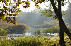 Piękne mieszkanie 3pokojowe z balkonem i loggią w centrum Wrocławia Wrocław - zdjęcie 5