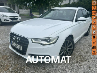 Audi A6 Slon Polska