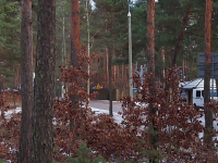 Działki  na sprzedaż  , Leśno  budowlane Marynino - zdjęcie 11