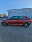 Audi A3 Klimatyzacja - 2003 - 2.0 TDI - 140KM Głogów - zdjęcie 3