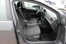 Volkswagen Golf Salon PL 1.0TSI 115KM LED Pakiet Business Bluetooth Sokołów - zdjęcie 12