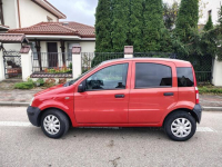 Fiat Panda *1.1 GAZ LPG* 2007r* Wspomaganie kierownicy* Ostrołęka - zdjęcie 4