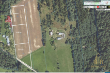 Działka w otoczeniu lasu Kulikówka - zdjęcie 4