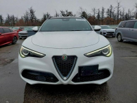 Alfa Romeo Stelvio / 2.0 280KM / 4x4 / Niski przebieg / Tarnów - zdjęcie 3