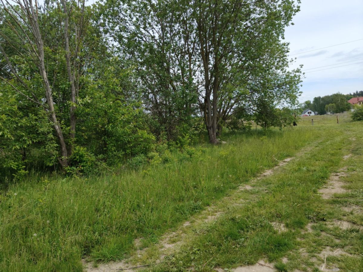 Twoje miejsce na dom marzeń/ Hryniewicze Hryniewicze - zdjęcie 5