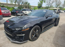 Ford Mustang Wersja GT / Automat / 5.0 V8