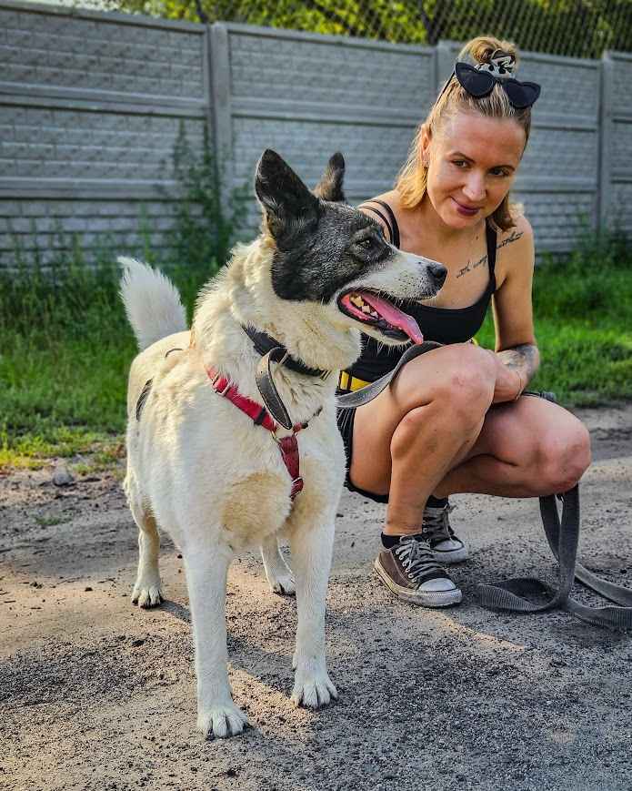 Oddana z adopcji przeokrutnie cierpi za kratami, pomocy! :( Śródmieście - zdjęcie 4