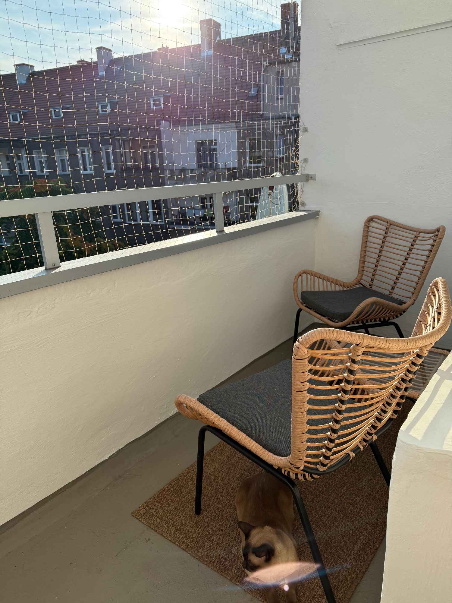 3 pokojowe mieszkanie ok. Placu Grunwaldzkiego Śródmieście - zdjęcie 7