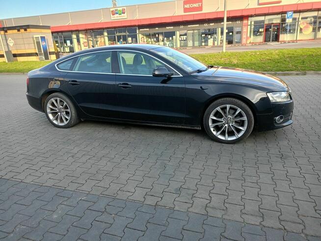 Audi A5 2.0 TDI sportback Miechów - zdjęcie 5