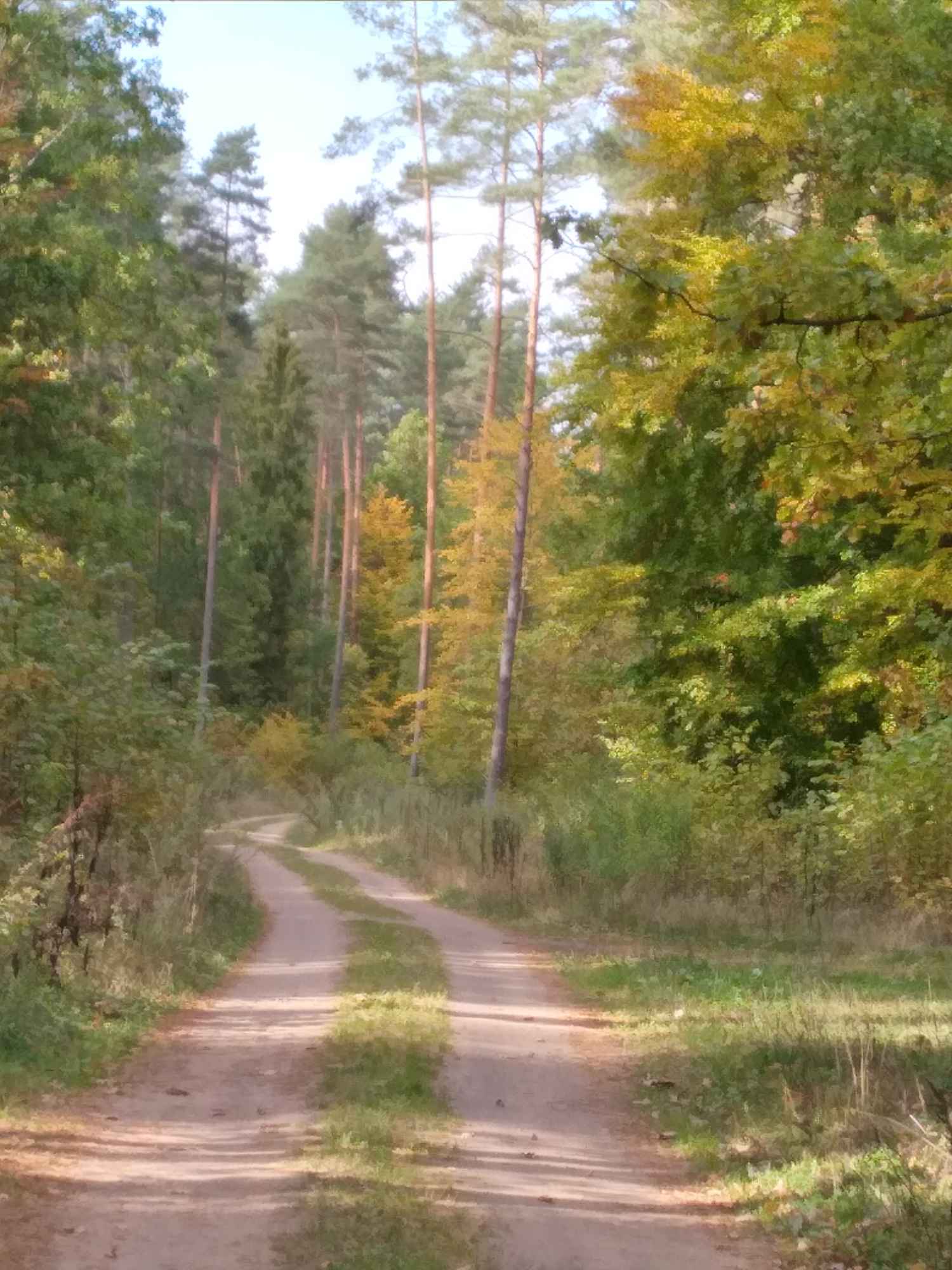 Domek z bala sosnowego na Mazurach niedaleko Szczytna Orzyny - zdjęcie 8