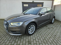 Audi A3 1.4 TFSi 125KM xenon BEZWYPADEK 5 drzwi ZADBANY BDB stan Gdynia - zdjęcie 11