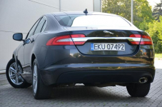 Jaguar XF Czarny Zarejestrowany 2.2D 163KM Skóra Bi-xenon Navi Kutno - zdjęcie 4