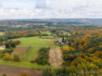 Działka pod lasem 16,80 ar z warunkami zabudowy Rzeszów - zdjęcie 8