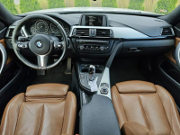 BMW 420 Sadlno - zdjęcie 12
