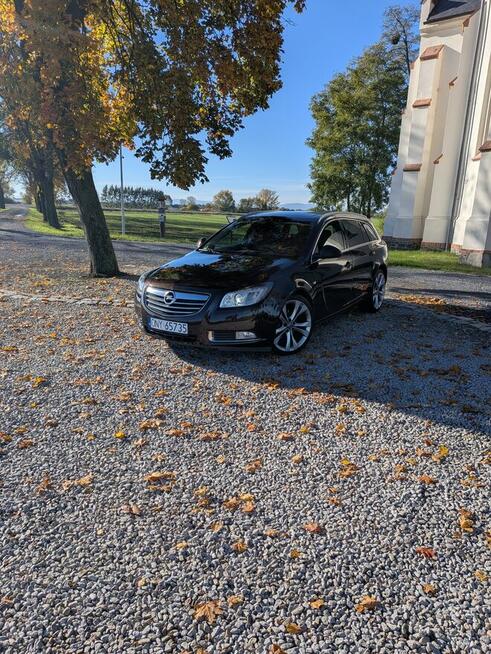 Opel Insignia 2011 r. 2.0 CDTI ecoFlex DPF OFF Nysa - zdjęcie 7