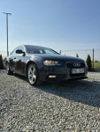 Audi A4 Grodzisk Wielkopolski - zdjęcie 5
