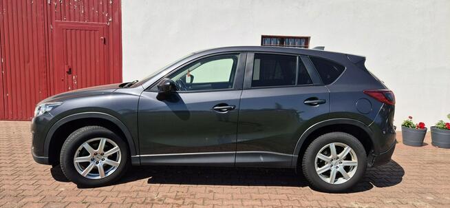 Mazda CX-5 NAVI-MEDIA-GRZANE FOTELE-START STOP Paproć - zdjęcie 6
