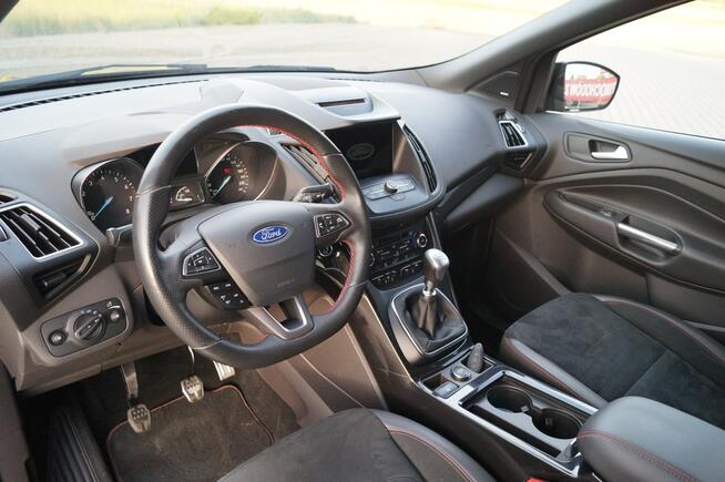 Ford Kuga 2019R 1.5 Benz. ST-Line I-wszy wł. Bezwypadkowy org. lakier Goczałkowice-Zdrój - zdjęcie 11