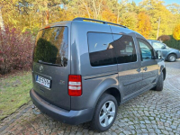 Volkswagen Caddy Trendline BMT- zadbany Siewierz - zdjęcie 3