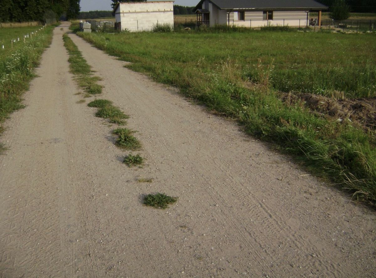 Atrakcyjne Działki Rafałówka Rafałówka - zdjęcie 3