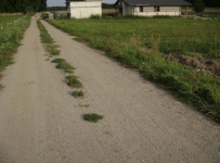 Atrakcyjne Działki Rafałówka Rafałówka - zdjęcie 3