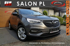 Opel Grandland X serwis ASO, Full Led, nawigacja, FV23% Rydułtowy - zdjęcie 1