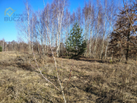 Sprzedam działki budowlane w Nowych Mostkach