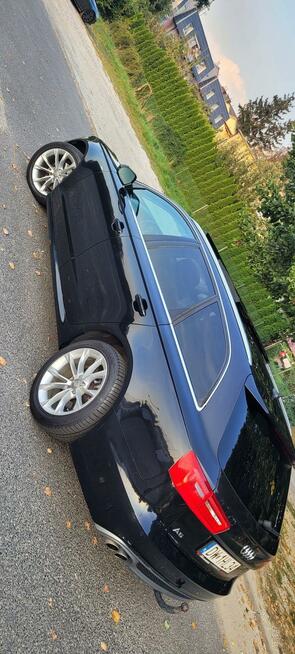 Audi A6 Psie Pole - zdjęcie 8