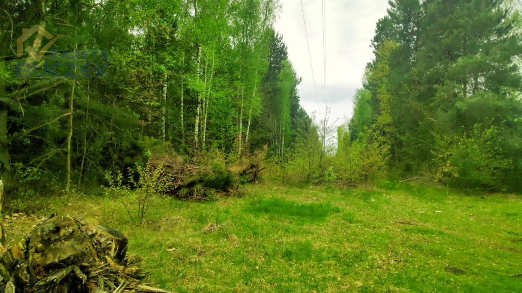 Sprzedam działkę rolną w Juliopolu 12 ha Juliopol - zdjęcie 4