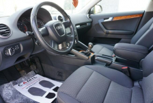 Audi A3 zarejestrowany, ubezpieczony Opole - zdjęcie 9