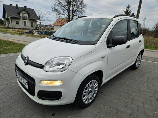 Fiat Panda Bezwypadkowy,Polski salon Liszki - zdjęcie 2