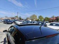 Volkswagen Polo 1.4 Benzyna 86 KM  Przebieg-21 159km Twardów - zdjęcie 8