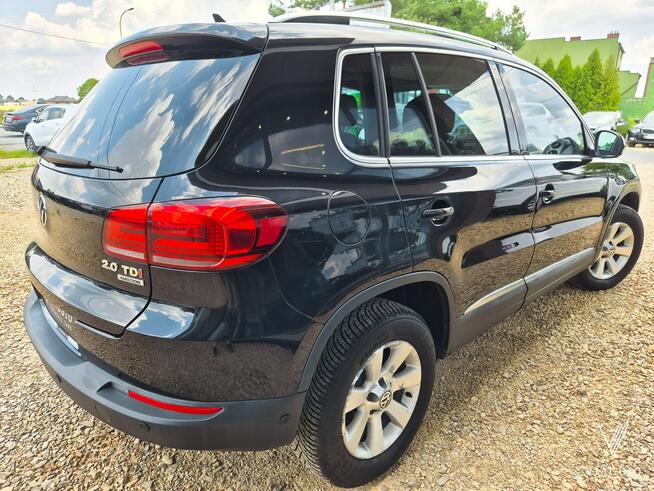 Tiguan 2.0 TDI 177km 4x4 BI-XENON kamera NAVI bordo skóra SERWIS 2014 Tychy - zdjęcie 3