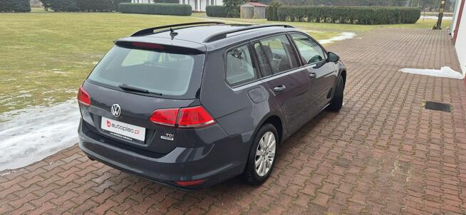 Volkswagen Golf Paproć - zdjęcie 7