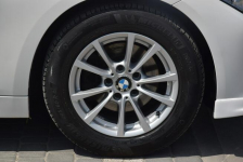 BMW 318 2.0D Navi Led Elektryczna Klapa Tempomat Sprowadzony Opłacony Majdan Sieniawski - zdjęcie 11