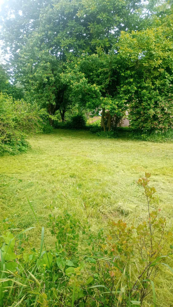 Działka 800m2 Darskowo - zdjęcie 2