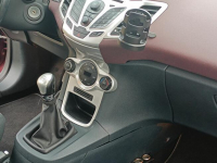 Ford Fiesta Psie Pole - zdjęcie 5