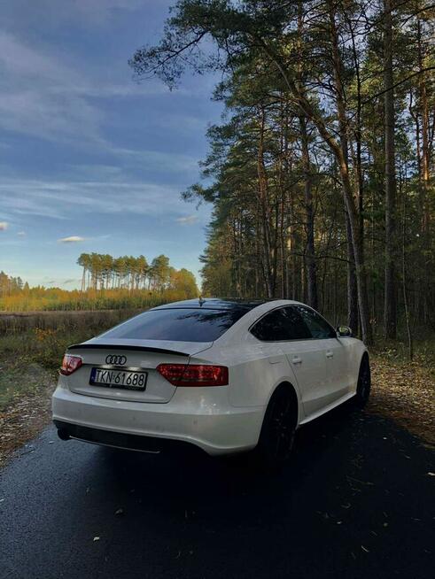 Audi S5 Warka - zdjęcie 5