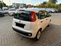 Fiat Panda !! Rezerwacja !! Orzech - zdjęcie 7