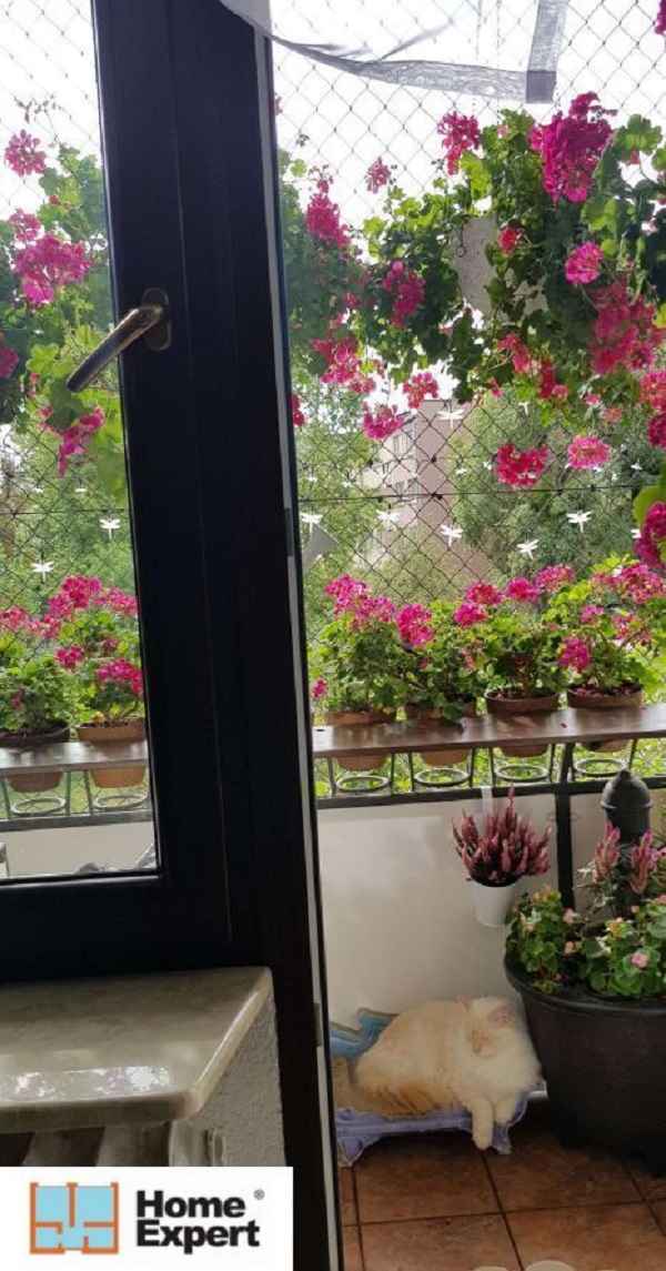 1pok, 33met, Okolice Lelewela BALKON/PIWNICA/PARKING (Wrocław) Stare Miasto - zdjęcie 7