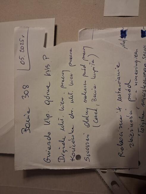 Peugeot 308 Dębowiec - zdjęcie 12