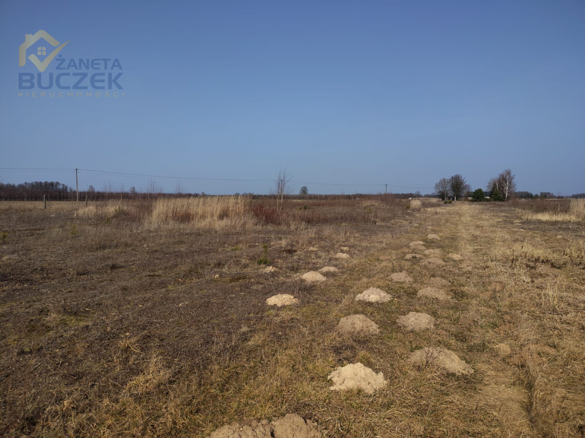 Sprzedam działki rolne o pow. 4029 w Skarbikowie Skarbikowo - zdjęcie 7