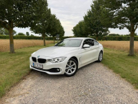 BMW 420 Sadlno - zdjęcie 7