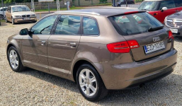 Audi A3 Niski przebieg! Automat! Stan wzorowy! Zamiana też! Gwarancja! Zduńska Wola - zdjęcie 3
