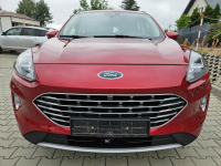 Ford Kuga III 2020, benzyna 150 KM, salon Polska, I wł. Rzeszów - zdjęcie 8
