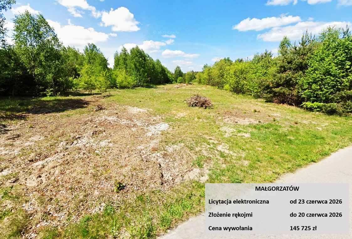 Licytacja komornicza, zalesiona, zabudowa zagrodowa Małgorzatów - zdjęcie 2
