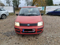 Fiat Panda 1.1 czysta benzyna Fasty - zdjęcie 2